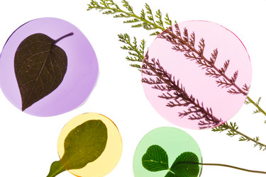 Similar image 2366061