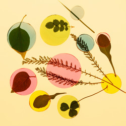 Similar image 2366062