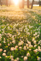 Similar image 2366273