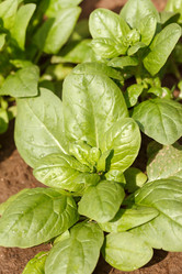 Similar image 2366281