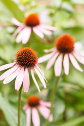 Similar image 2366284