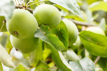 Similar image 2366286