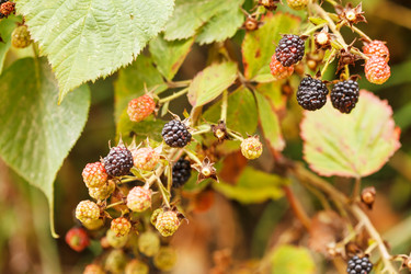 Similar image 2366288