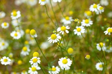 Similar image 2366427