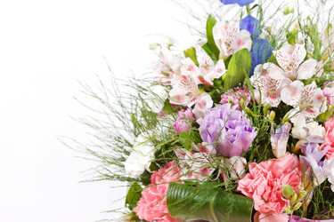 Similar image 2376184