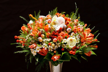 Similar image 2376201