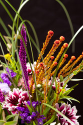 Similar image 2376202