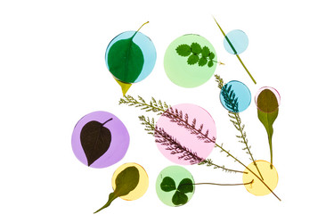 Similar image 2376433