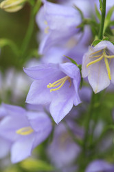 Similar image 2376435