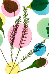 Similar image 2376455