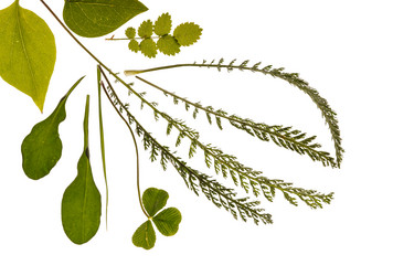 Similar image 2376456