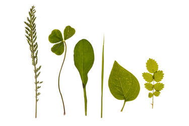 Similar image 2376457