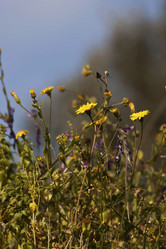 Similar image 2377006