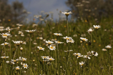 Similar image 2377008