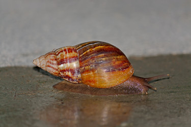 Similar image 2377082