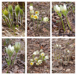 Similar image 2377085