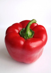 Similar image 2377099