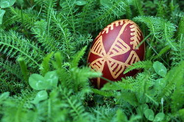 Similar image 2377521