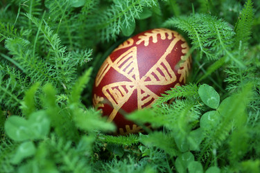 Similar image 2377522