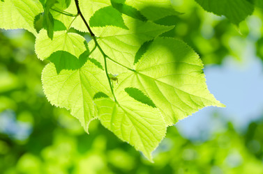 Similar image 2377700