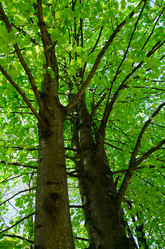 Similar image 2377702