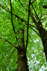 Similar image 2377703