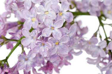 Similar image 2377728