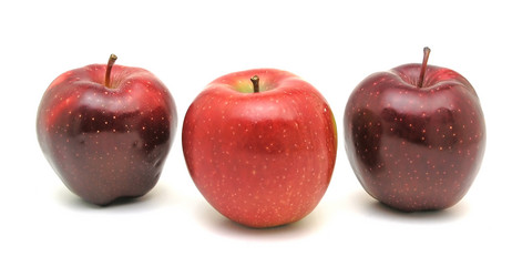 Similar image 2377782