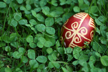 Similar image 2377891