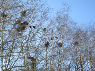 Similar image 2377920