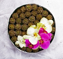 Similar image 2377977