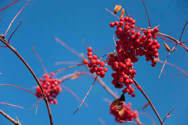 Similar image 2377992