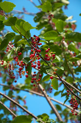 Similar image 2378012