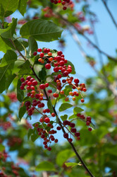 Similar image 2378023