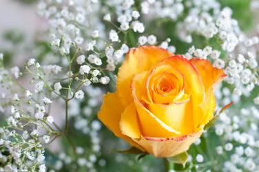 Similar image 2378066