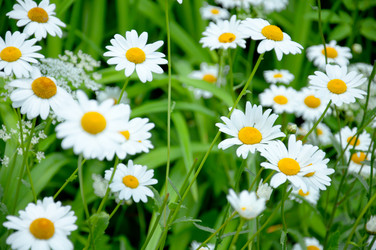 Similar image 2378069