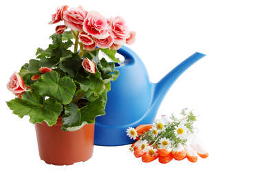 Similar image 2378080