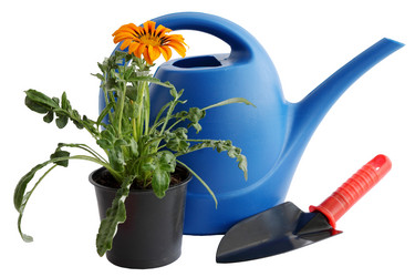 Similar image 2378082