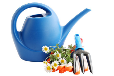 Similar image 2378083