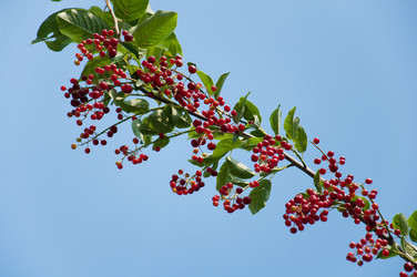 Similar image 2378137