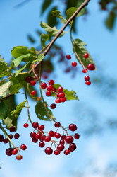 Similar image 2378138