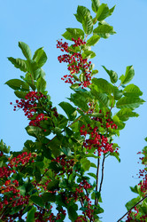 Similar image 2378139