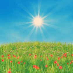 Similar image 2378157