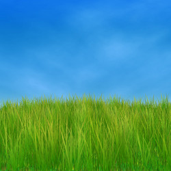 Similar image 2378160