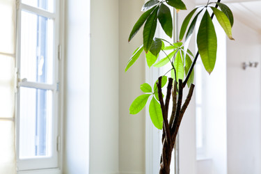 Similar image 2378336