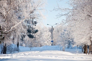 Similar image 2378442