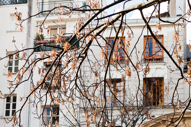 Similar image 2378449