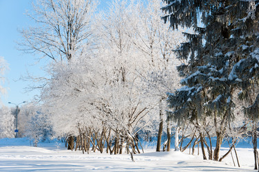 Similar image 2378462