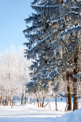 Similar image 2378473