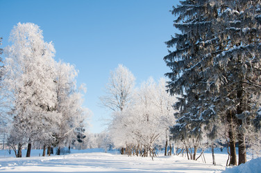 Similar image 2378474